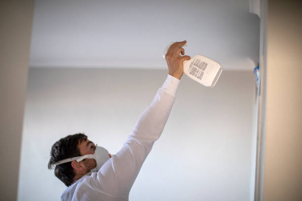 Best Mold Remediation  in Hawarden, IA