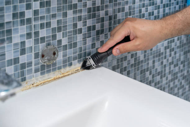 Best Commercial Mold Removal  in Hawarden, IA
