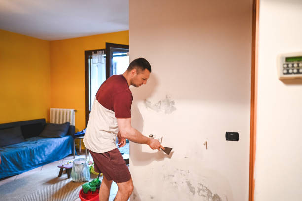 Best Emergency Mold Removal  in Hawarden, IA